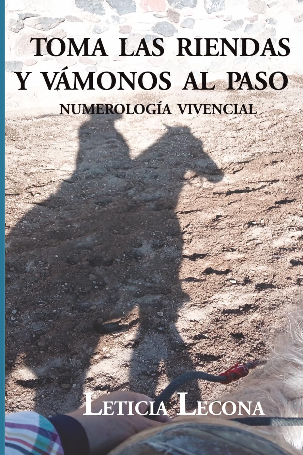 Toma las riendas y vámonos al paso: Numerología Vivencial