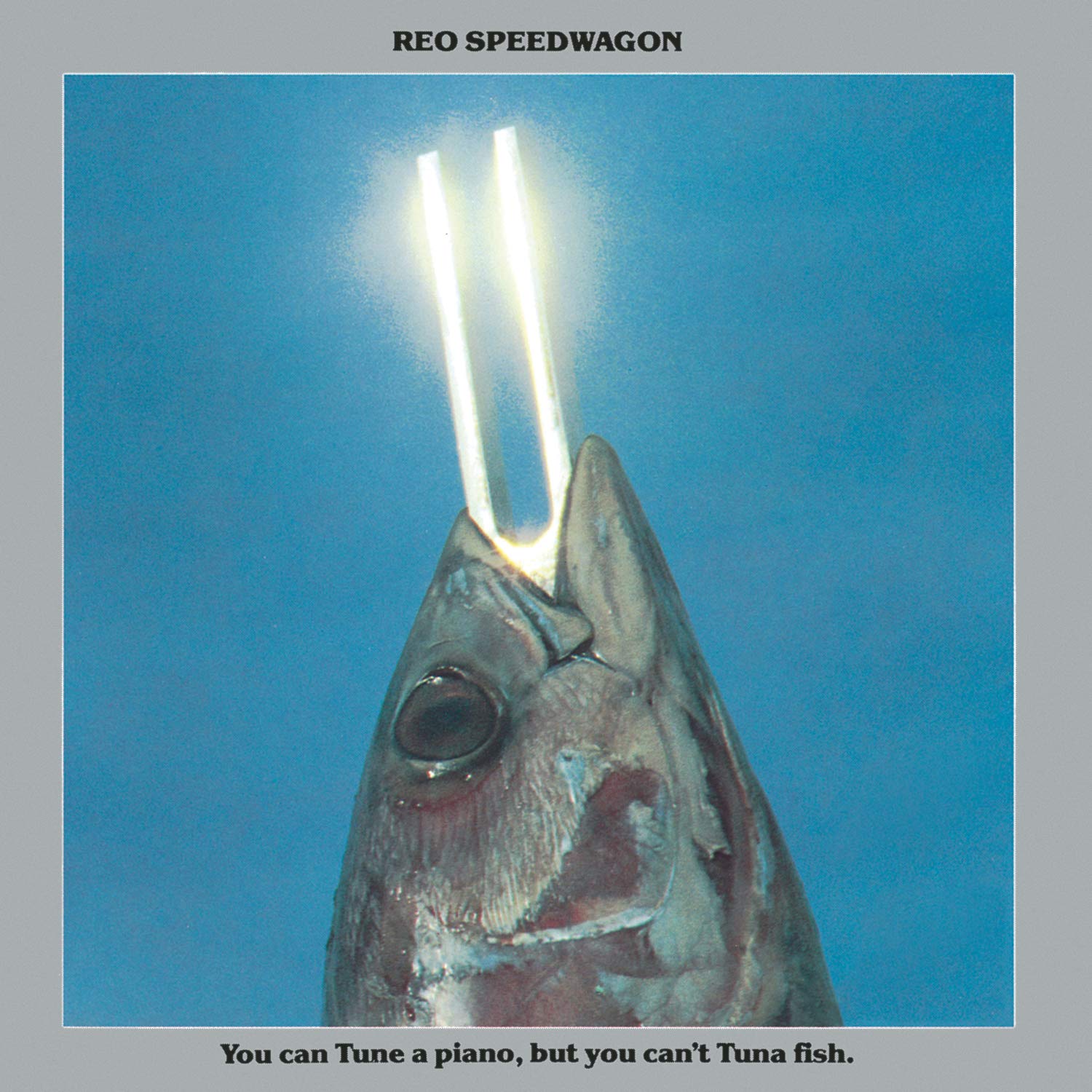 You Can Tune a Piano, But You Can't Tuna Fish | Amazon.com.br