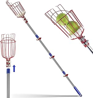 13FT Fruit Picker Pole with Basket Apple Orange Picker Tool Tree Fruit Catcher with Lightweight Stainless Steel Connecting Pole, Sturdy Basket with Foam Pad, Metal Clamp