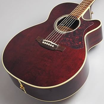 Amazon | Takamine DMP551C WR エレアコギター 500シリーズ (タカミネ