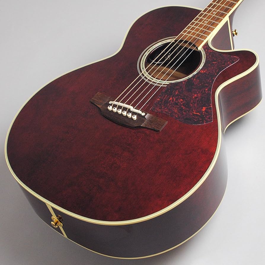 Amazon | Takamine DMP551C WR エレアコギター 500シリーズ (タカミネ Amazon | Takamine DMP551C WR エレアコギター 500シリーズ (タカミネ