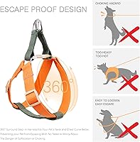 Vista 9 de No Pull Dog Harness and Leash Set, Step in Dog Halter Harness with Poop Bag Holder, Adjustable Lightweight Cotton Straps Suitable for Small Medium