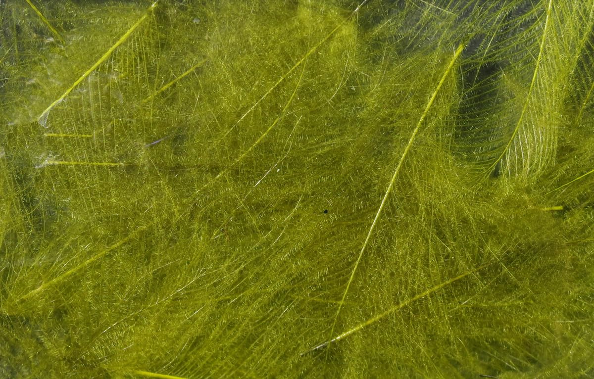 product_img5