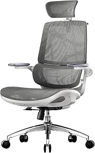 SIHOO M59AS Ergonomic Office Chair, Desk Chair with 3D Coordinated Flip-up Armrests, Computer Chair with Dual Back Design and Adaptive Dynamic Lumbar