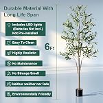 Olive Tree, 6FT Tall Faux Olive Tree with Moss and Planter, Olive Trees Artificial Indoor with Realistic Wood Trunk and Lifelike Fruits, Olive Fake Tree for Home Office Living Room Decor