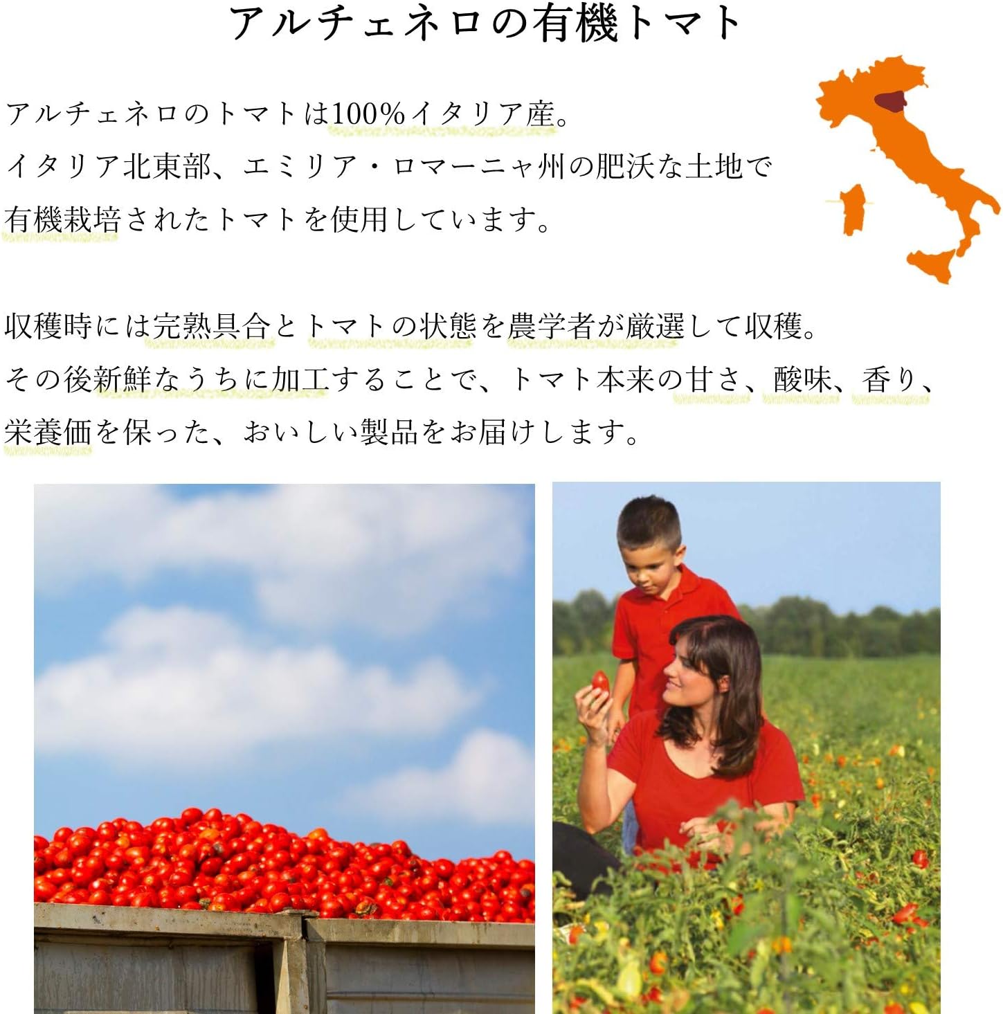 ALCE NERO(アルチェネロ) 有機 パスタソース トマト&香味野菜 350g (オーガニック イタリア産 添加物不使用 3-4人前)