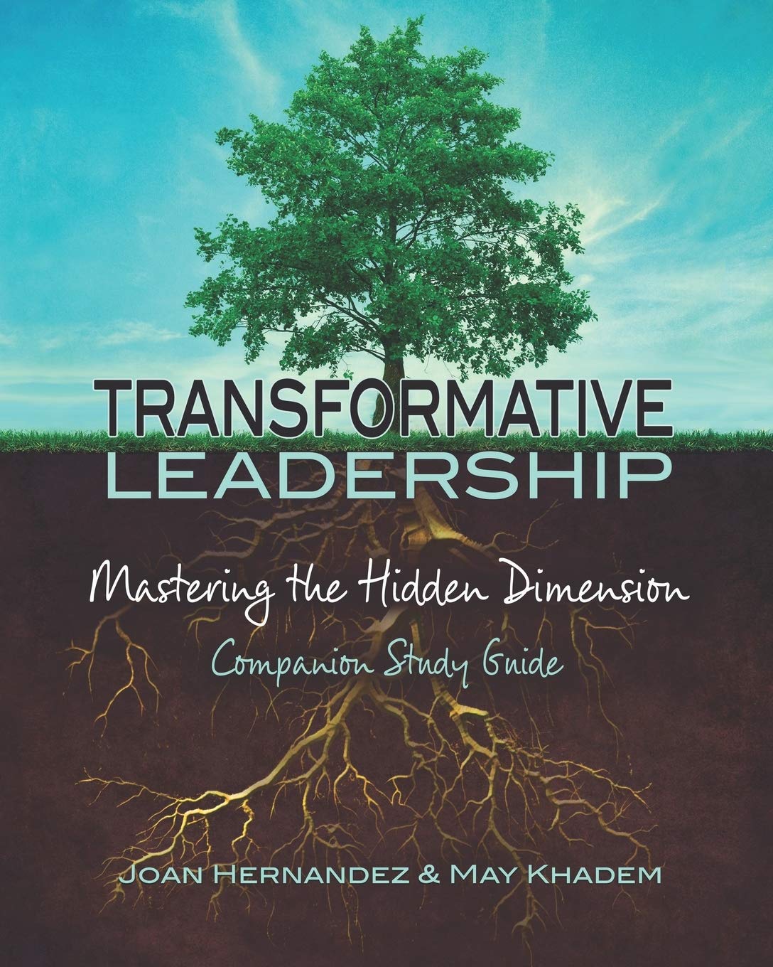 Transformative Leadership: Mastering the Hidden Dimension: 2