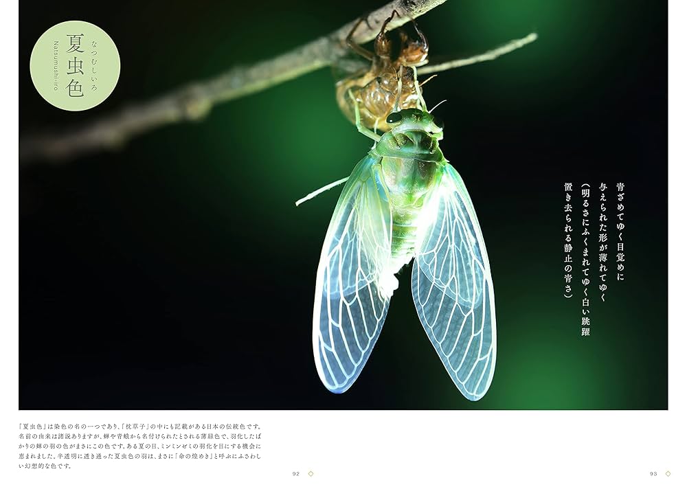 四季彩図鑑 〜写真でつづる日本の伝統色 | 北山建穂, 永方佑樹