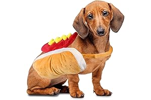 Outfit Your Furry Friend in the Hilarious Hot Dog Costume!