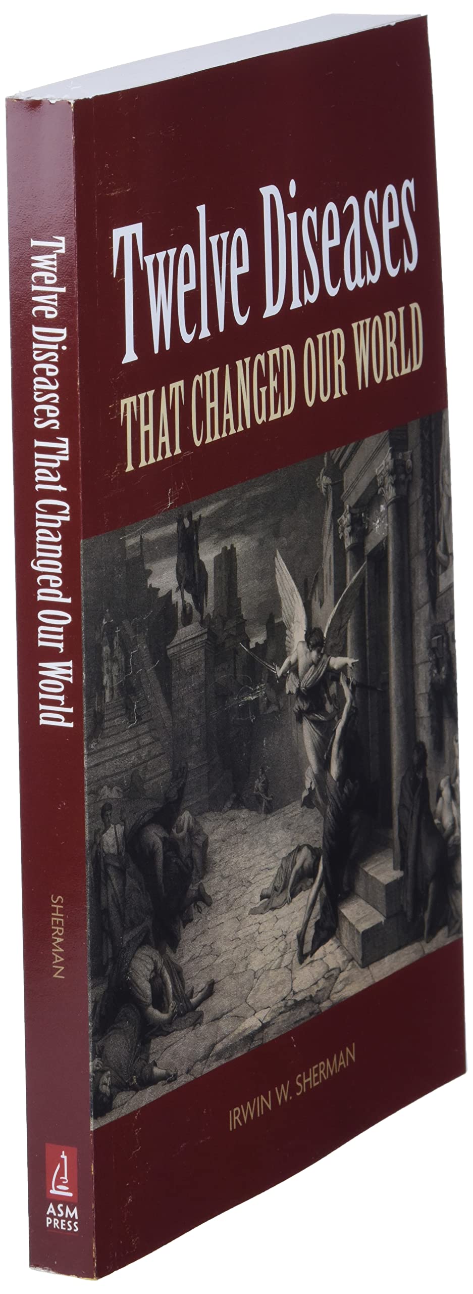 Twelve Diseases that Changed Our World (ASM Books) - Image 3