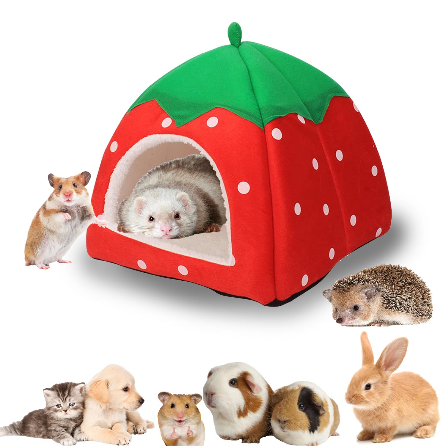 LIT EN BOIS Pour Cochon D'inde, 2 Pièces, Lit Pour Petits Animaux