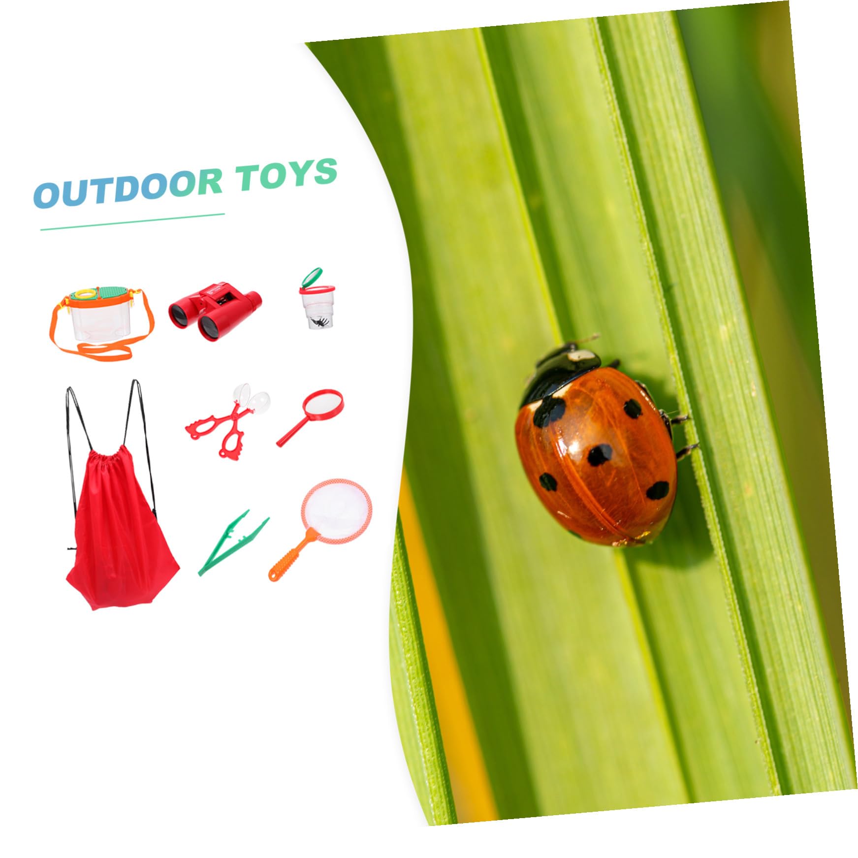 Caja de Observación para Niños al Aire Libre, 1 Juego Plástico