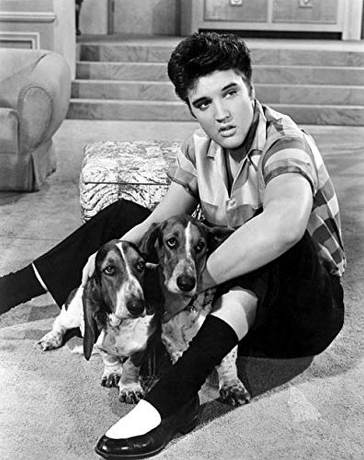 Amazon.co.jp: Jailhouse Rock エルビス・プレスリー 1957年 映画