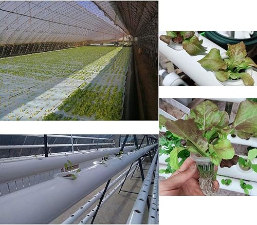 Miniatura 2 de Paquete de 100 esponjas hidropónicas de semillas hidropónicas para plantar, herramientas de jardinería, esponjas hidratadas sin suelo para cultivo