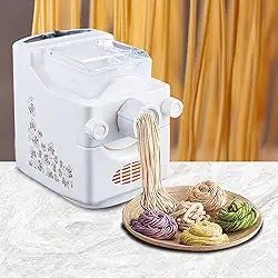 MáQuina EléTrica De Fazer MacarrãO, MáQuina AutomáTica De Fazer MacarrãO, Fabricante De MacarrãO-9 Moldes/500g Grande Capacidade- Para Espaguete Fettuccine Penne Lasanha,A