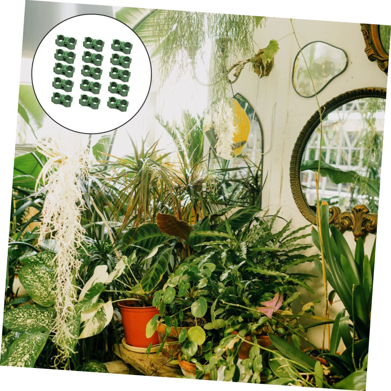 5 Sets Verstellbare Pflanzenstecker-Clips Rattan-kunststoffschnalle Unverzichtbar Für Obstgärten Gewächshäuser 50 Stück * 5