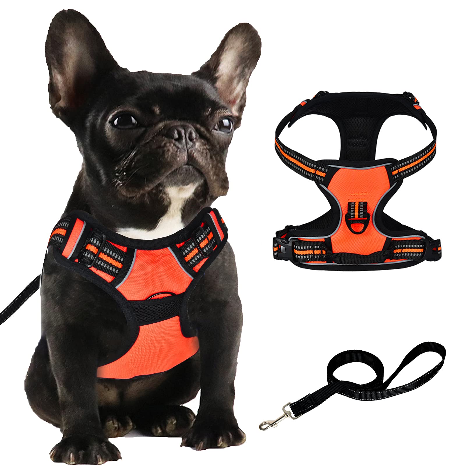 Amazon Bateruni 犬ハーネス リードセット 小型犬 5 12kg 負担が少ない首輪 引っ張り防止 脱着簡単 犬用胴輪 サイズ調節可能 咳き込み防止 犬用ハーネス 夜間反射 安心散歩 訓練 運動向き 歩行補助 軽量 通気性 ハンドル付き S オレンジ Bateruni ハーネス 通販 Amazon Bateruni 犬ハーネス リードセット 小型犬 5 12kg 負担が少ない首輪 引っ張り防止 脱着簡単 犬用胴輪 サイズ調節可能 咳き込み防止 犬用ハーネス 夜間反射 安心散歩 訓練 運動向き 歩行補助 軽量 通気性 ハンドル付き S オレンジ Bateruni ハーネス 通販