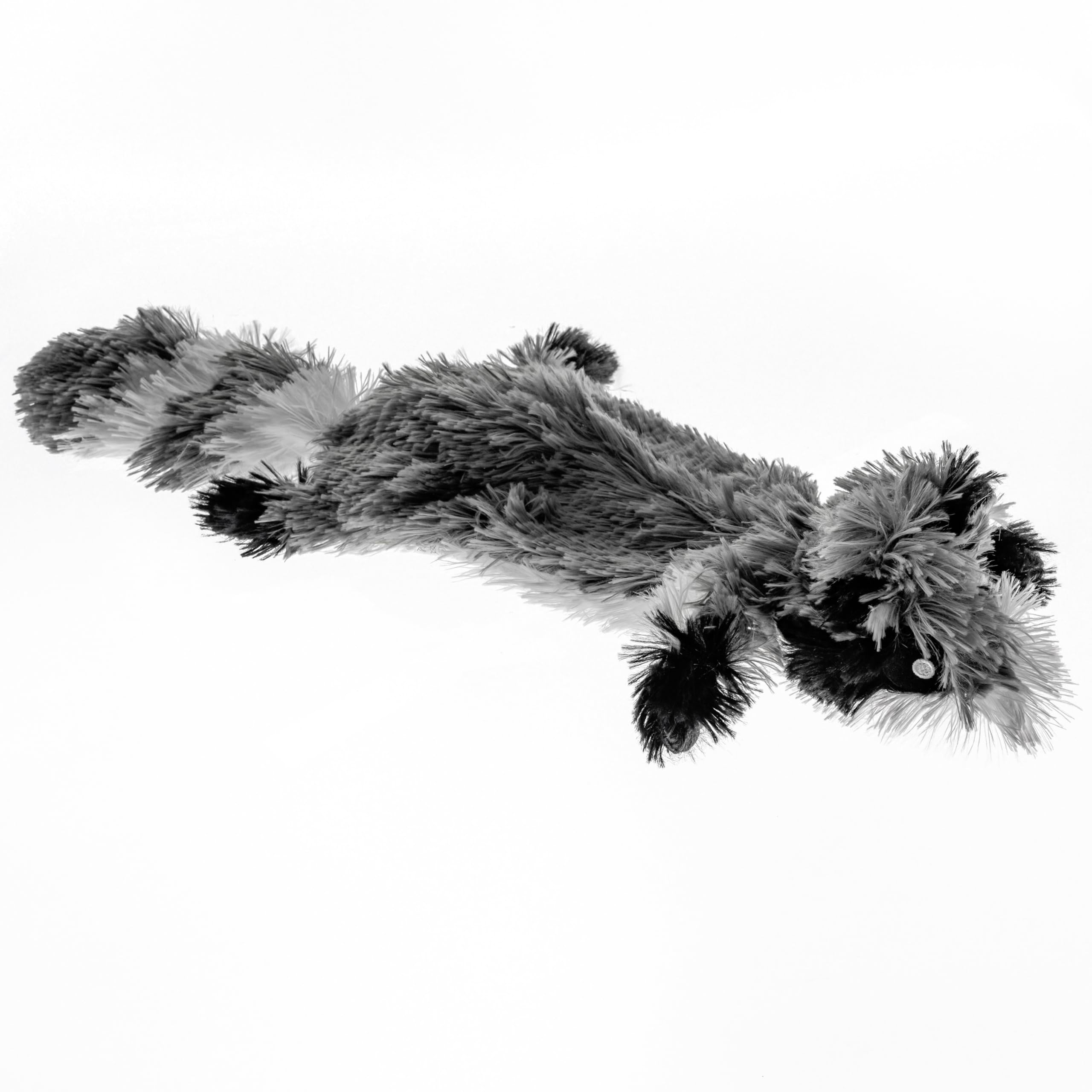 FGA MARKETPLACE Plüsch-Hundespielzeug, ohne Füllung, kein Quietschen, lustiger Stil, wird dein Haustier stundenlang unterhalten, empfohlen für kleine und mittelgroße Hunde, 53,3 cm lang, Waschbär