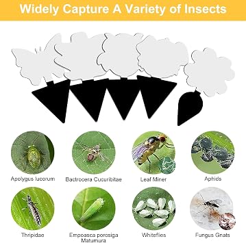 Fruit Fly Traps, TRIITECH 50 Pack Sticky Fly Traps, Plant Fly Stickers, Sticky Bug Traps for Indoor and Outdoor(Black)