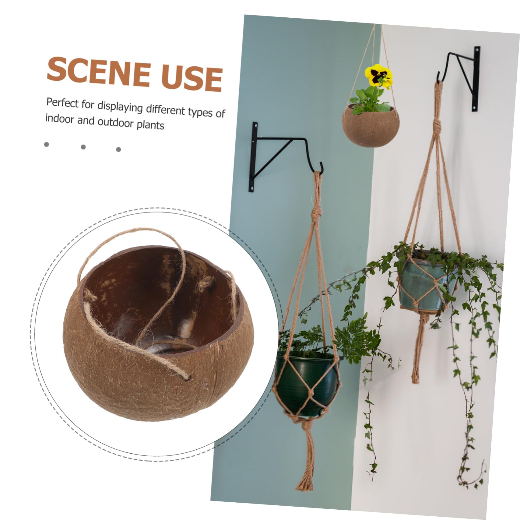 OFFSCH Coconut Shell Hanging Flower Pot Natural Indoor Outdoor Planter for Succulents Balcony Garden Home Decor with Durable Lanyard - Image 2