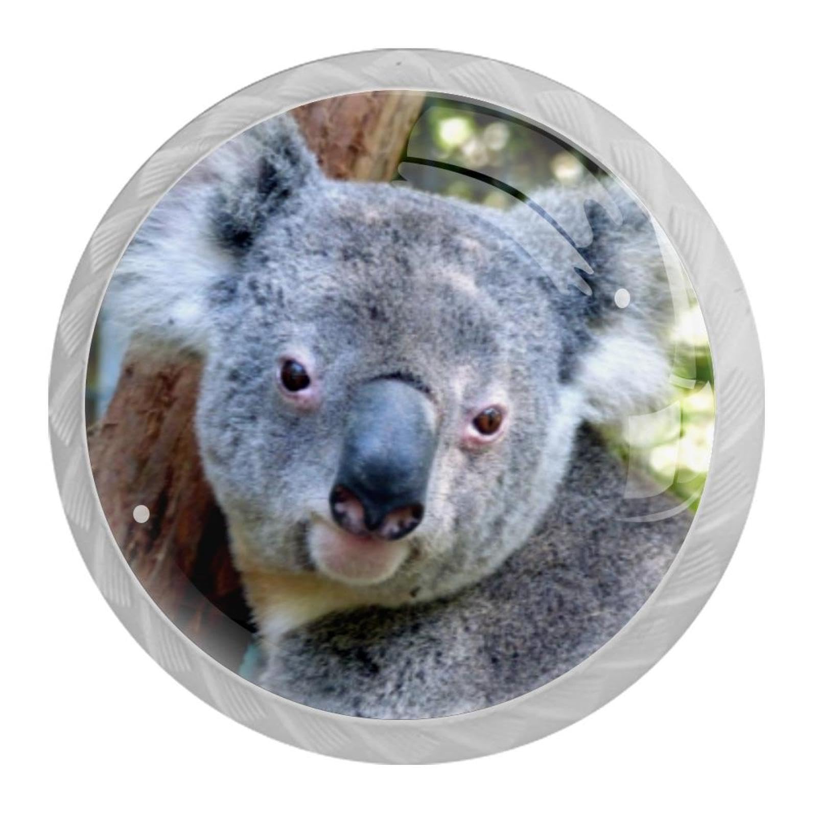 Tqmspg 4 Pieces Drawer Pulls Cute Koala Door Knobs Dresser Handles for Kitchen Wardrobe Cupboard Hardware Furniture