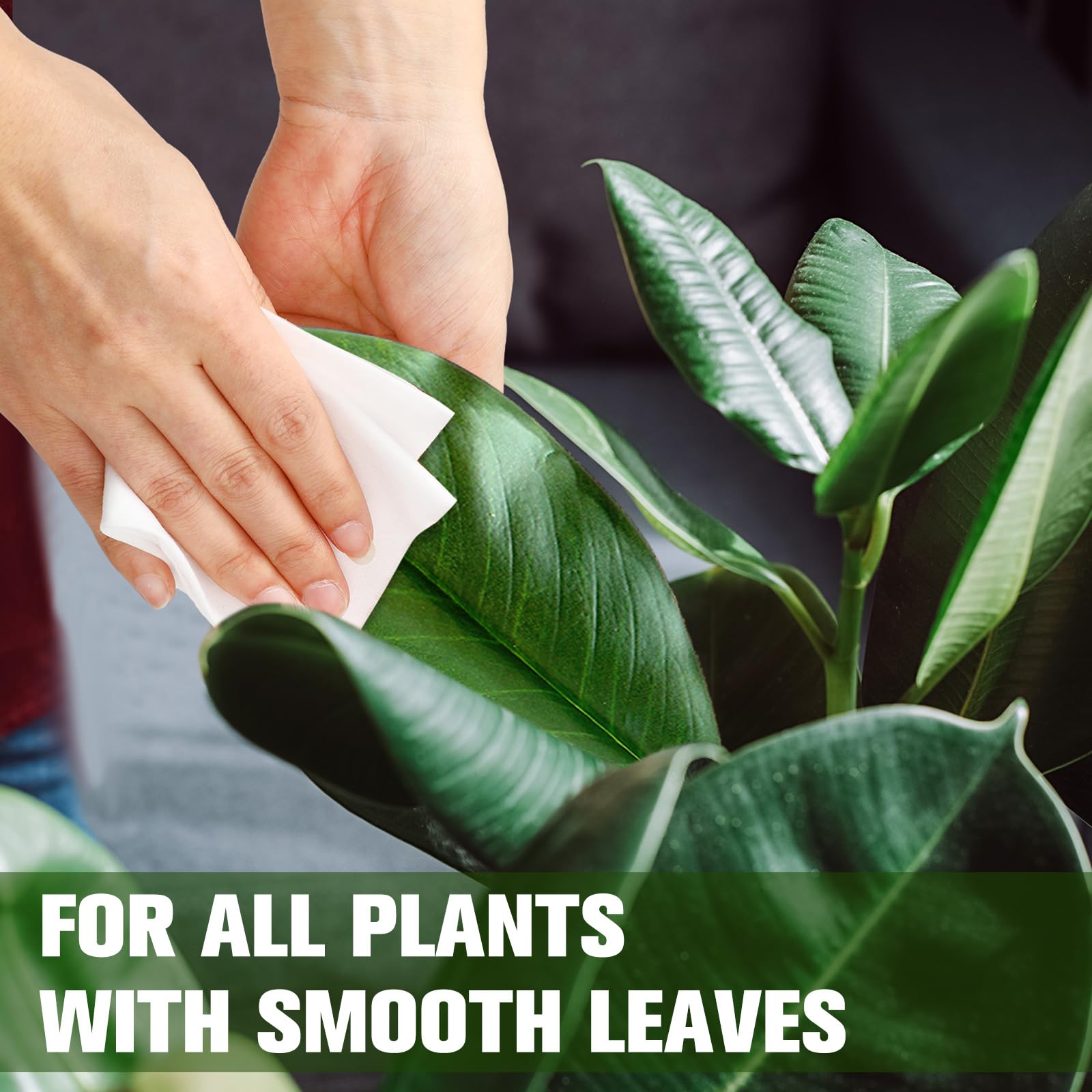 320 toallitas de limpieza de plantas para hojas, limpiador de hojas de plantas y brillo de hojas, sin perfume, tejido de gofre grueso, mejores toallitas de fotosíntesis para plantas de interior y
