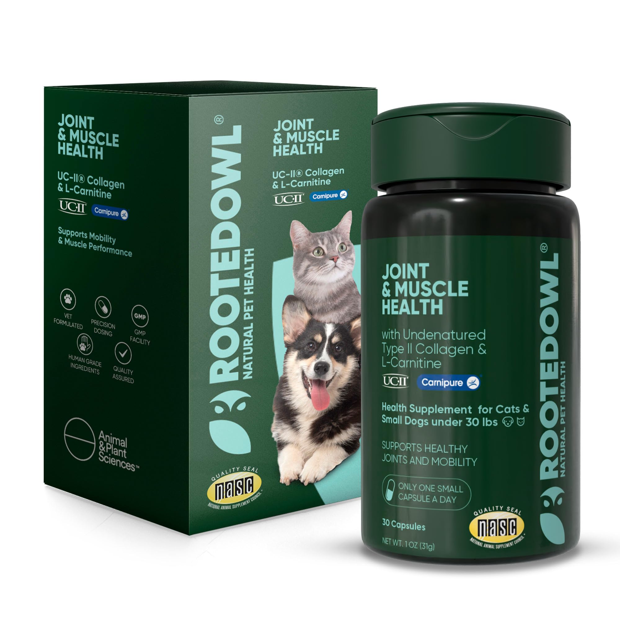 l-carnitine for small animals Rooted Owl® Joint & Muscle Supplement Cats & Dogs The palatable liver Rx Vitamins for Pets LiquiCarn