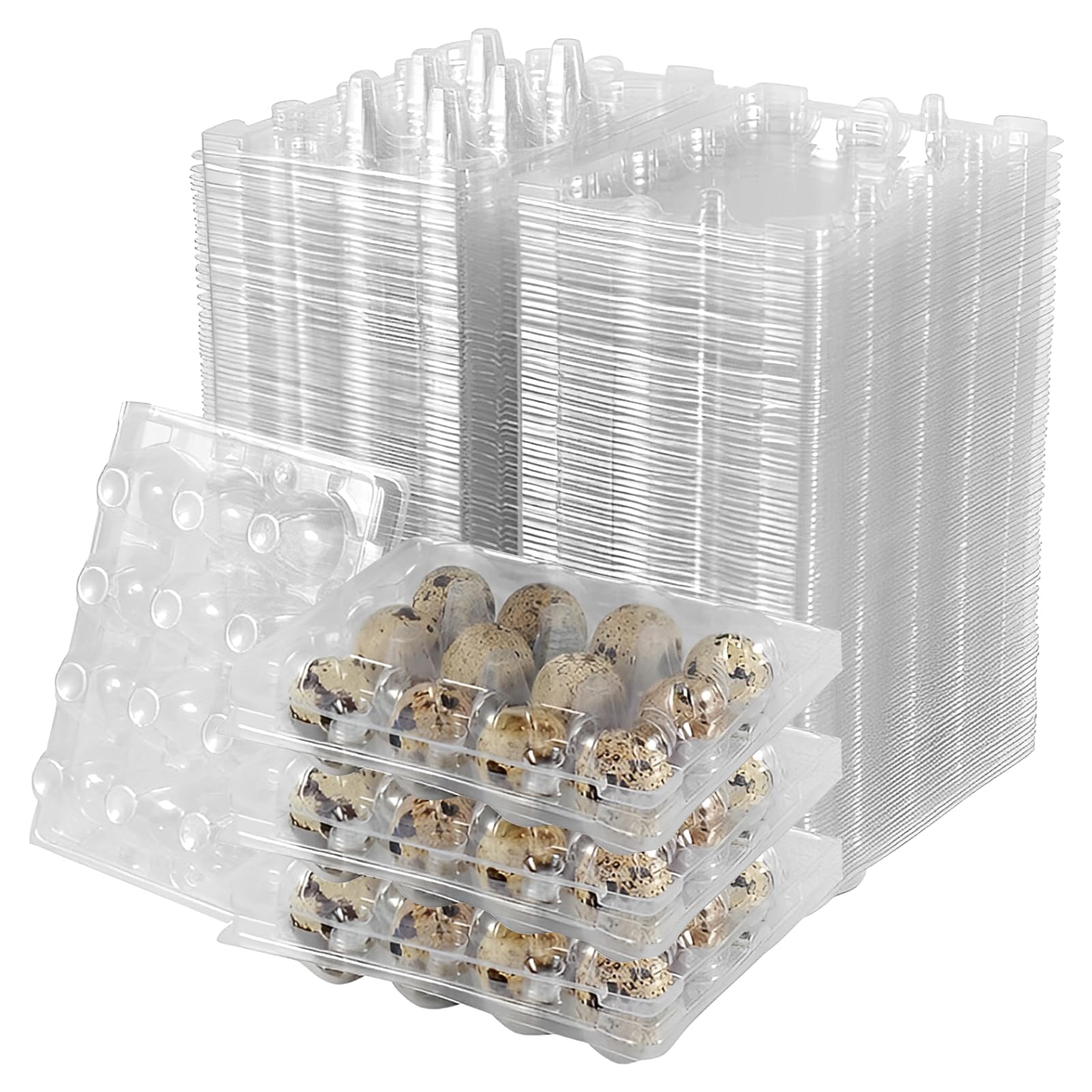APACALI 100 cajas de huevos de codorniz, 12 rejillas, cajas de plástico para huevos de codorniz con tapa, cajas transparentes para huevos de codorniz