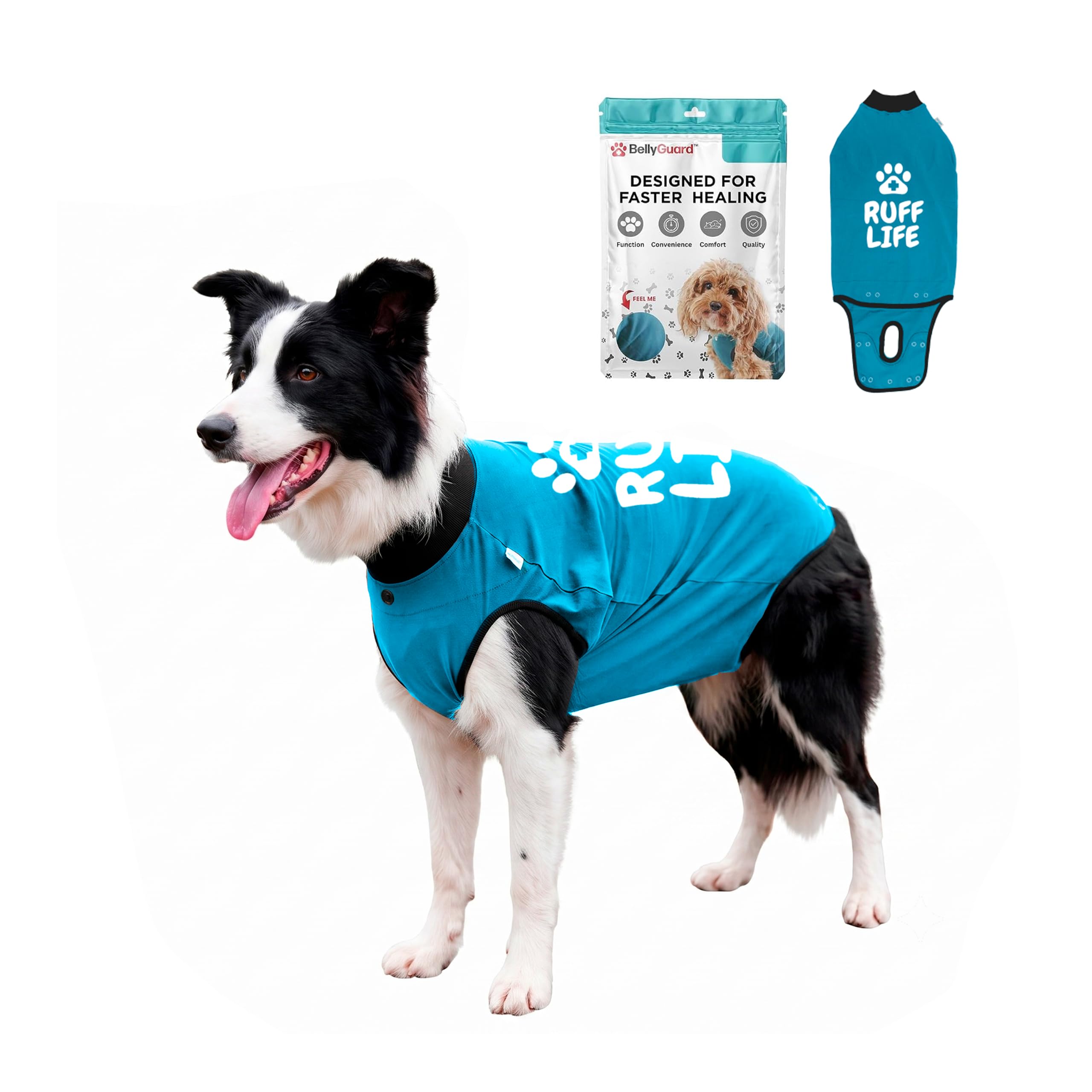 BellyGuard Dog Surgery Recovery Suit, Male Female After Spay Neuter Onesie