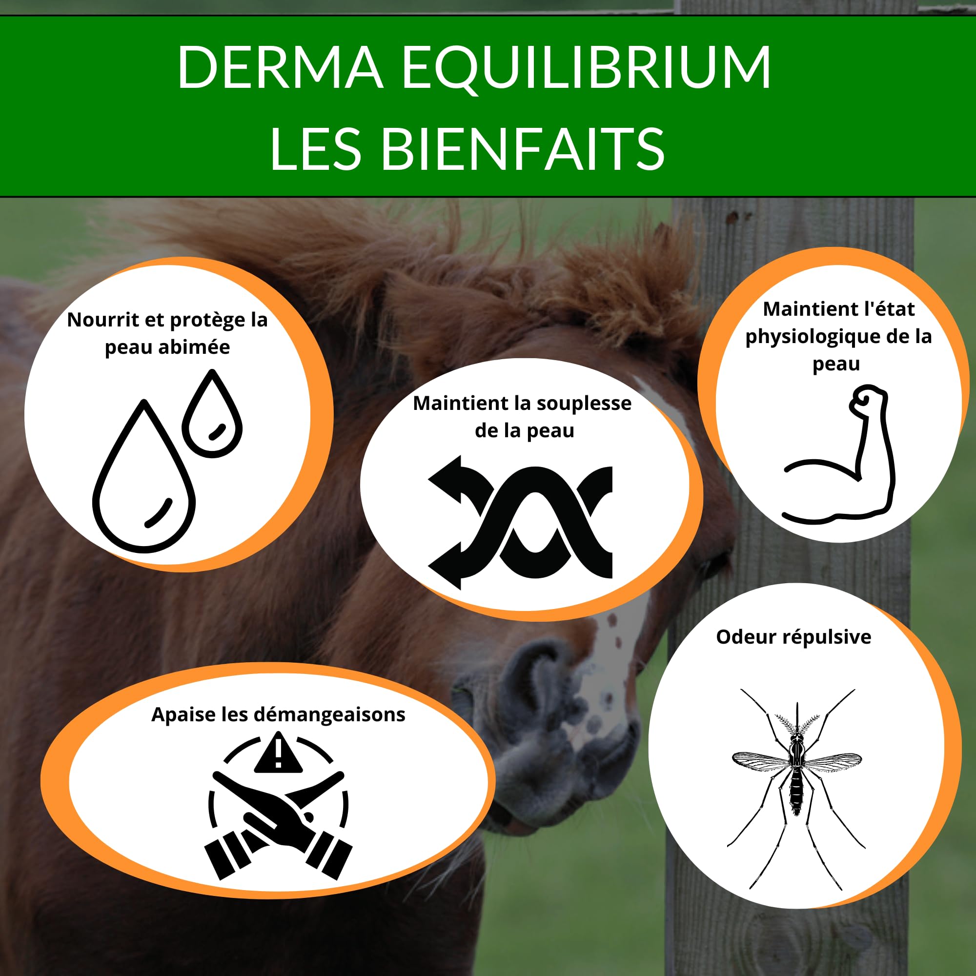 Derma Equilibrium - 500 mL - Soin Naturel de la dermite chez Le Cheval