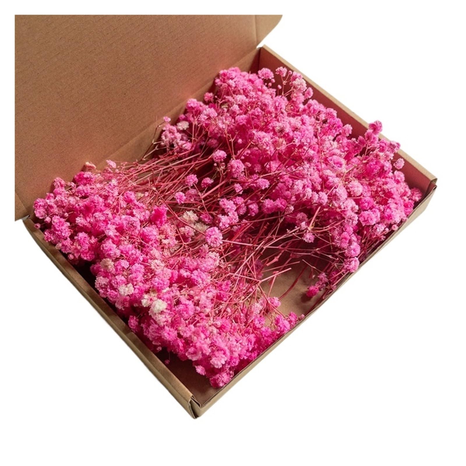 WJIAYAO dried gypsophila flowers 100pcs Mini Dried Baby's Breath Flowers Dry Flower Gypsophila DIY Aromatherapy Wedding Party Photo Deco(Color8)