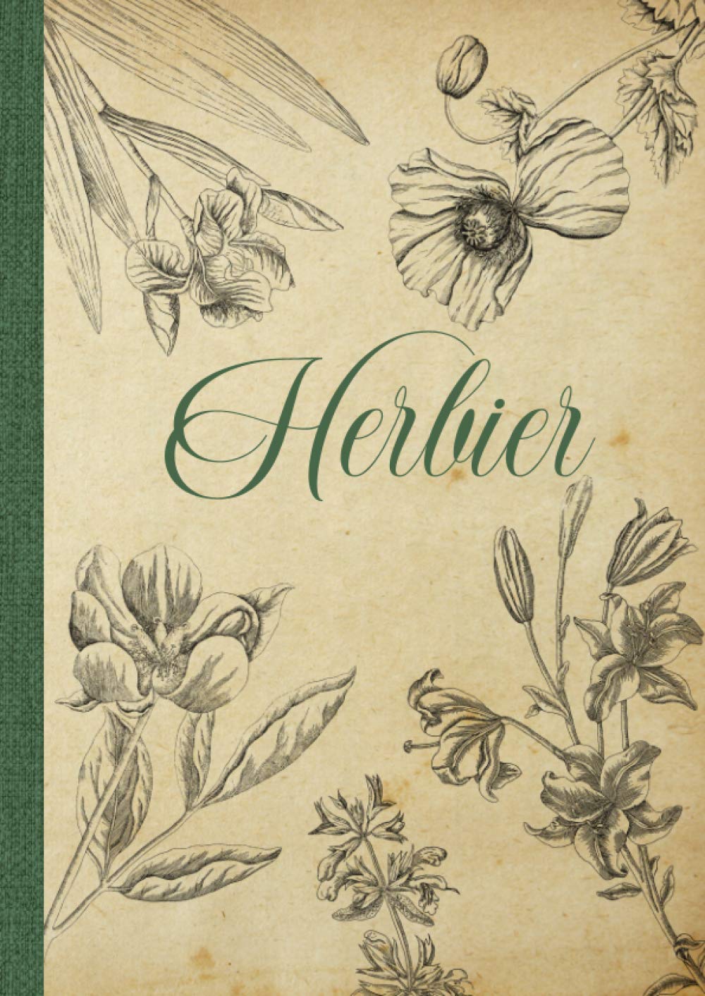 Buy Ier Vierge Remplir Pour Conserver Feuilles Fleurs Et Es S ch es buy-ier-vierge-remplir-pour-conserver-feuilles-fleurs-et-es-s-ch-es