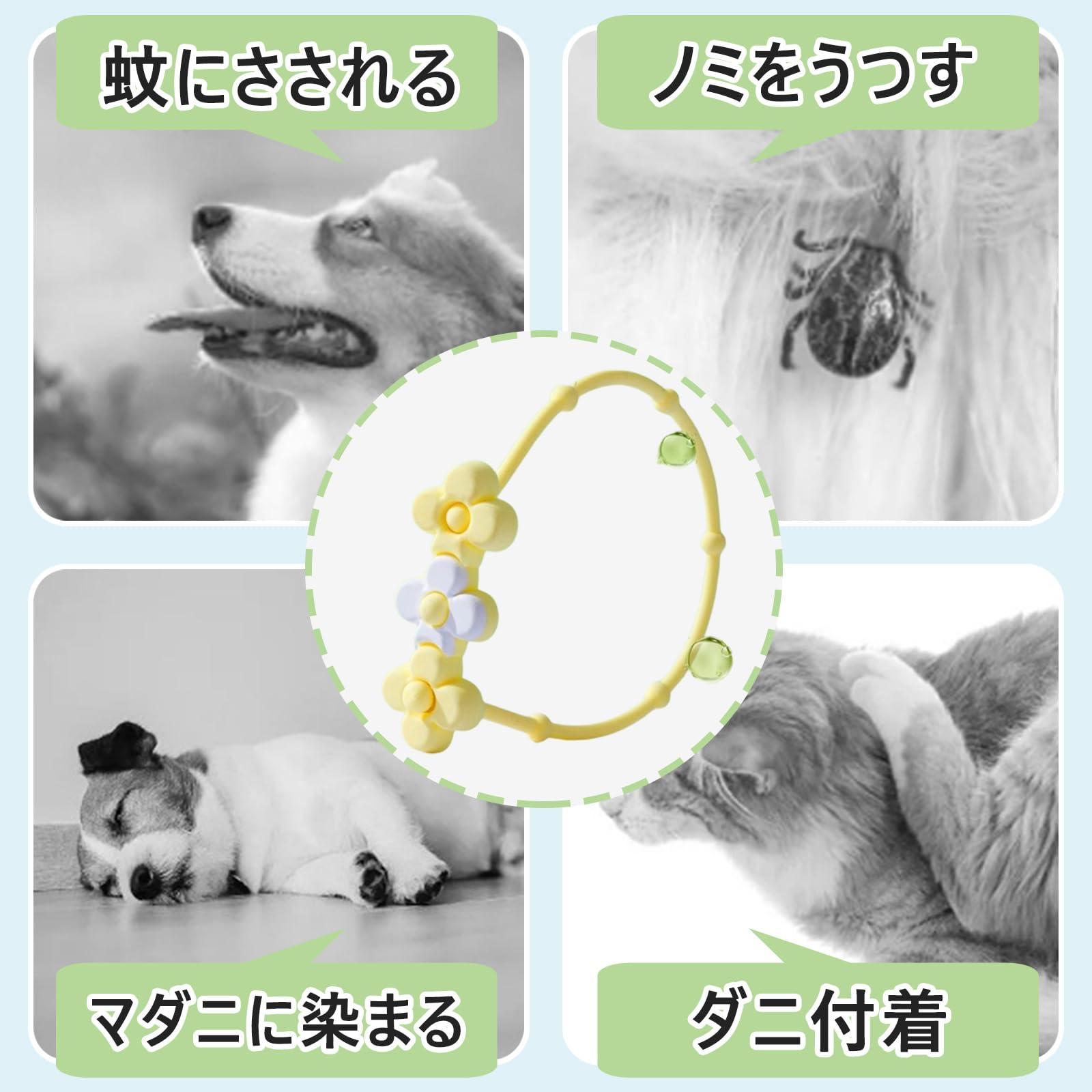Amazon | AQZXA 犬用/猫用 ノミダニ首輪 蚊よけ首輪 防水 簡単着脱 (M