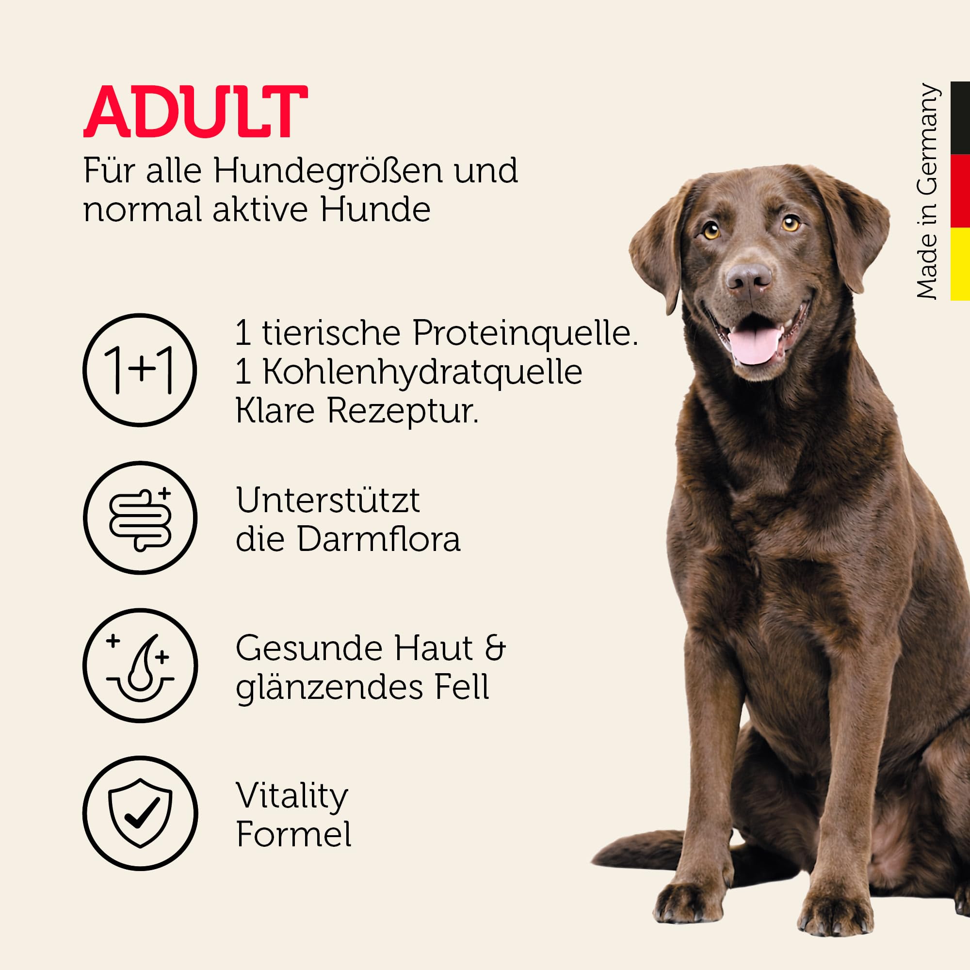 mera Pure Sensitive Insect Protein Hundefutter Trockenfutter, mit Insektenprotein für Sensible Hunde, leicht verdaulich & nachhaltige Proteinquelle, getreidefrei (12,5kg)