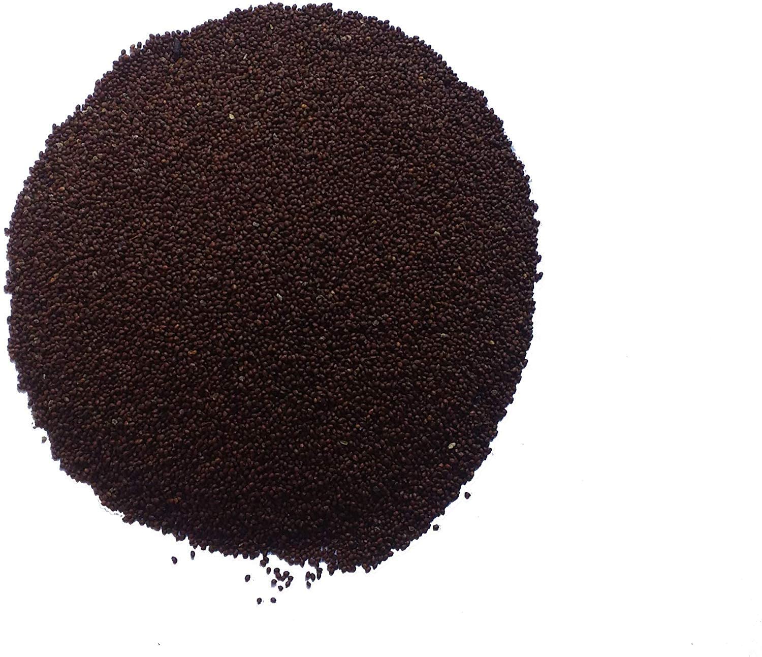 ADITYA GREEN PLANTS AGP,, Medicinal Krishna /Kali Tulsi Ayurvedic Herb Plant seeds(Black Tulas) (B09NLS2GGP) Amazon Price History, Amazon Price Tracker
