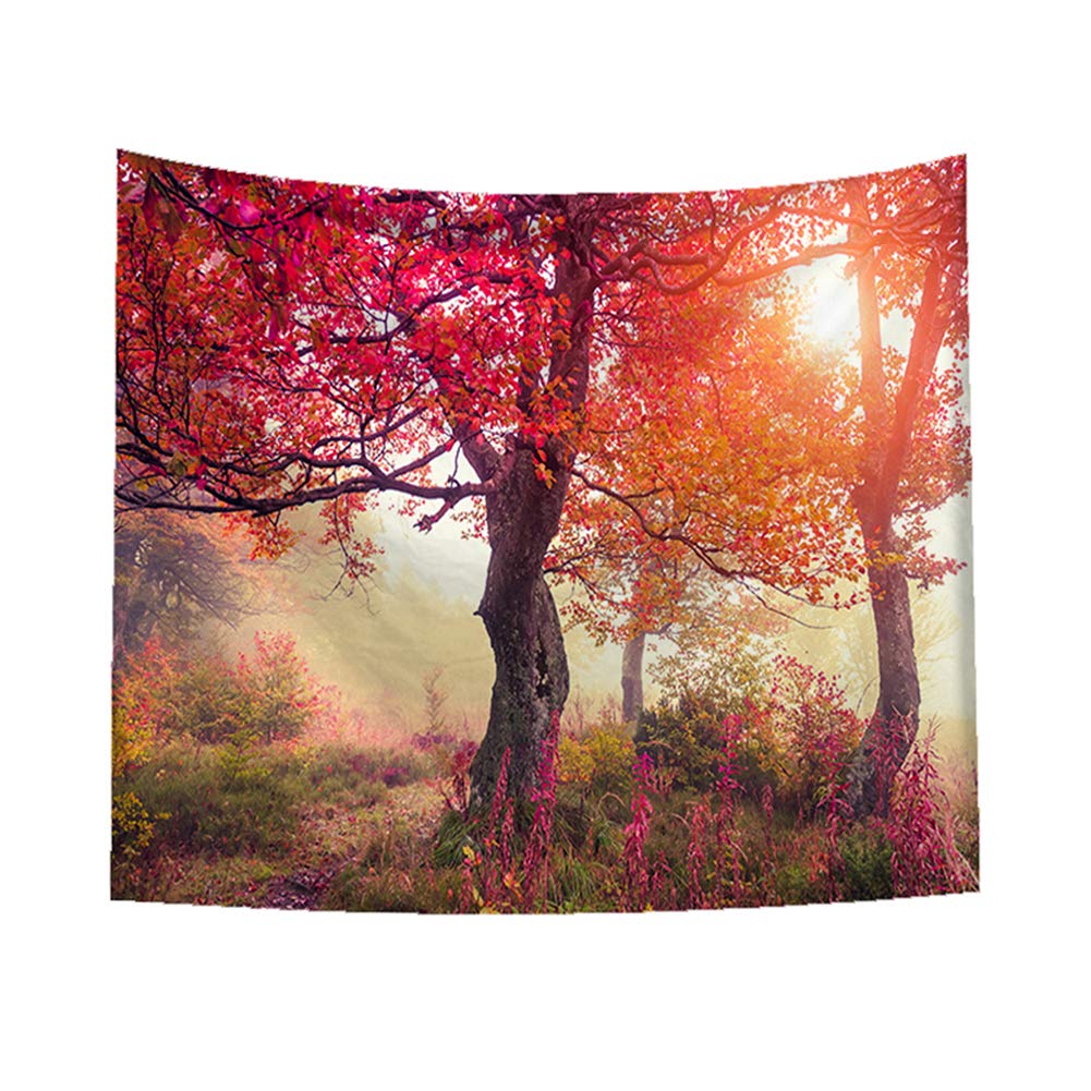 Apdidl Arazzo da parete con fiabe magiche foreste per camera da