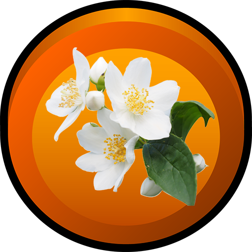 Types of Jasmine - App on Amazon Appstore