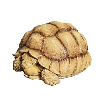 KAME HOUSE　幻獣の亀　フィギュア　完成品　22㎝　ガメラ Amazon.co.jp: カミツキガメ（ハイポ）フィギュア 巨頭 爬虫類