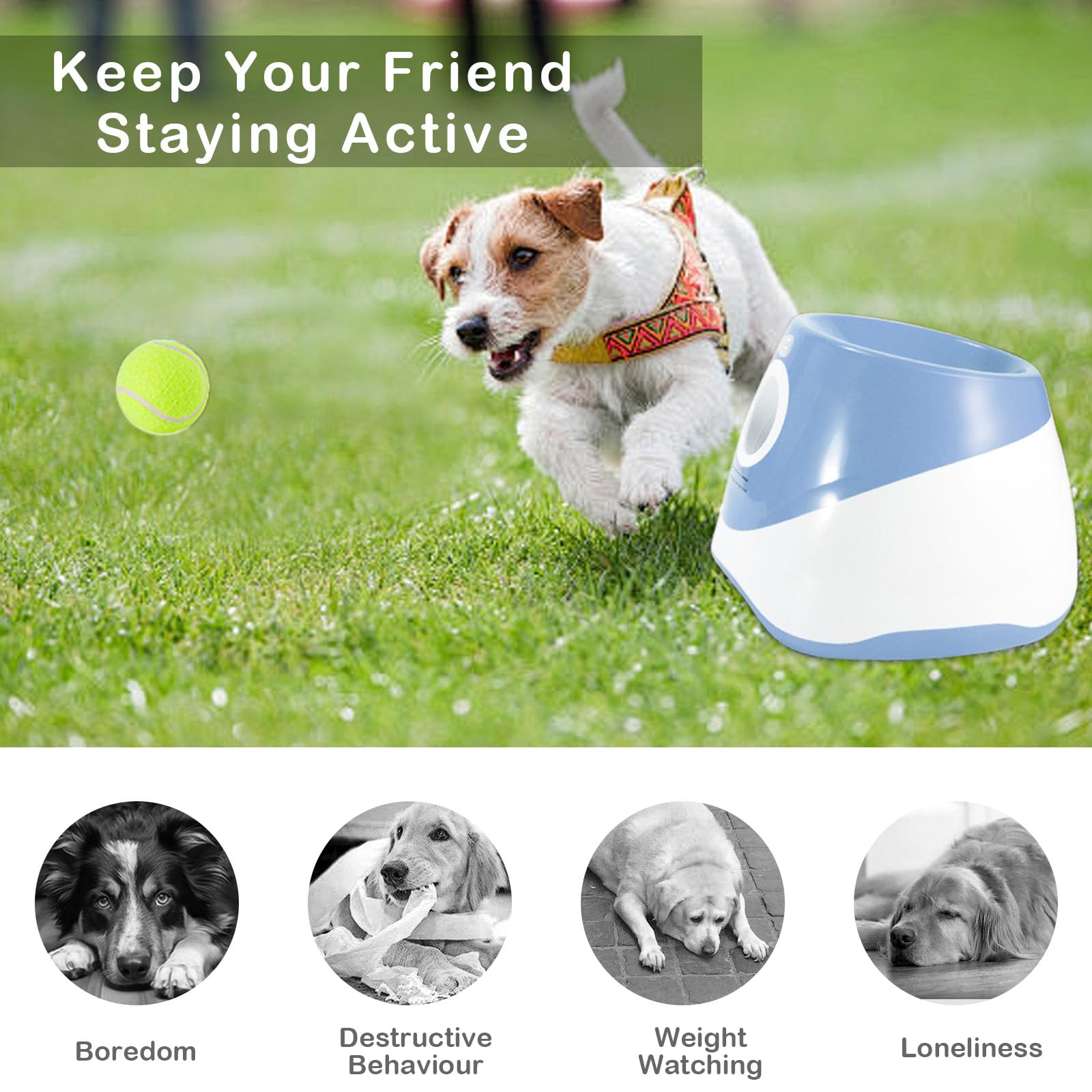 Automatischer Ballwerfer, Ballwurfmaschine Hund mit 6 Pcs 2" Tennisbällen, Kann 10-30ft werfen, Interaktive Ballmaschine für Kleine und Mittlere Hunde