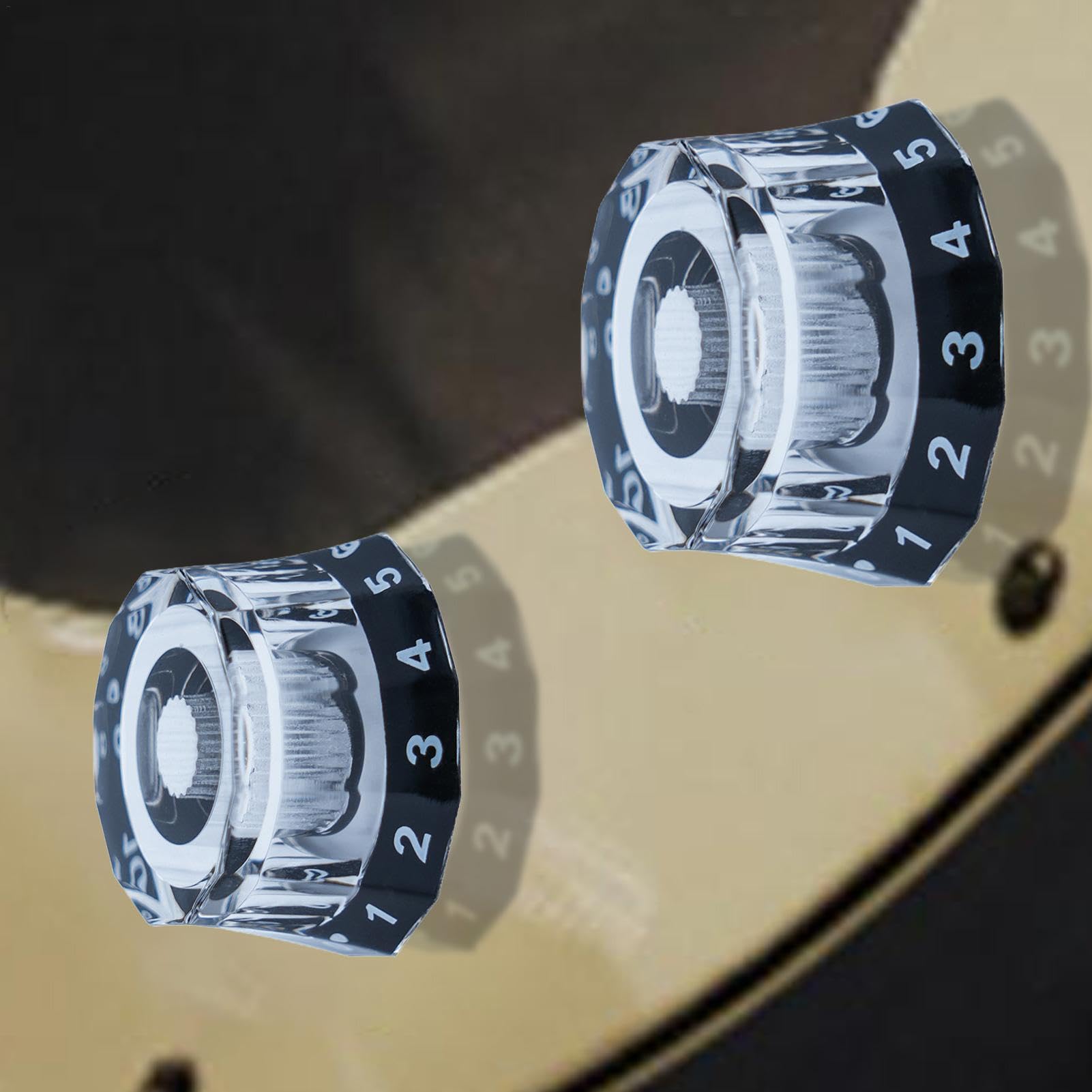 ドンジョン　ギター　ボリューム TSP178AC Custom ~Violet & Florentine Cutaway~ | 【クロサワ楽器店