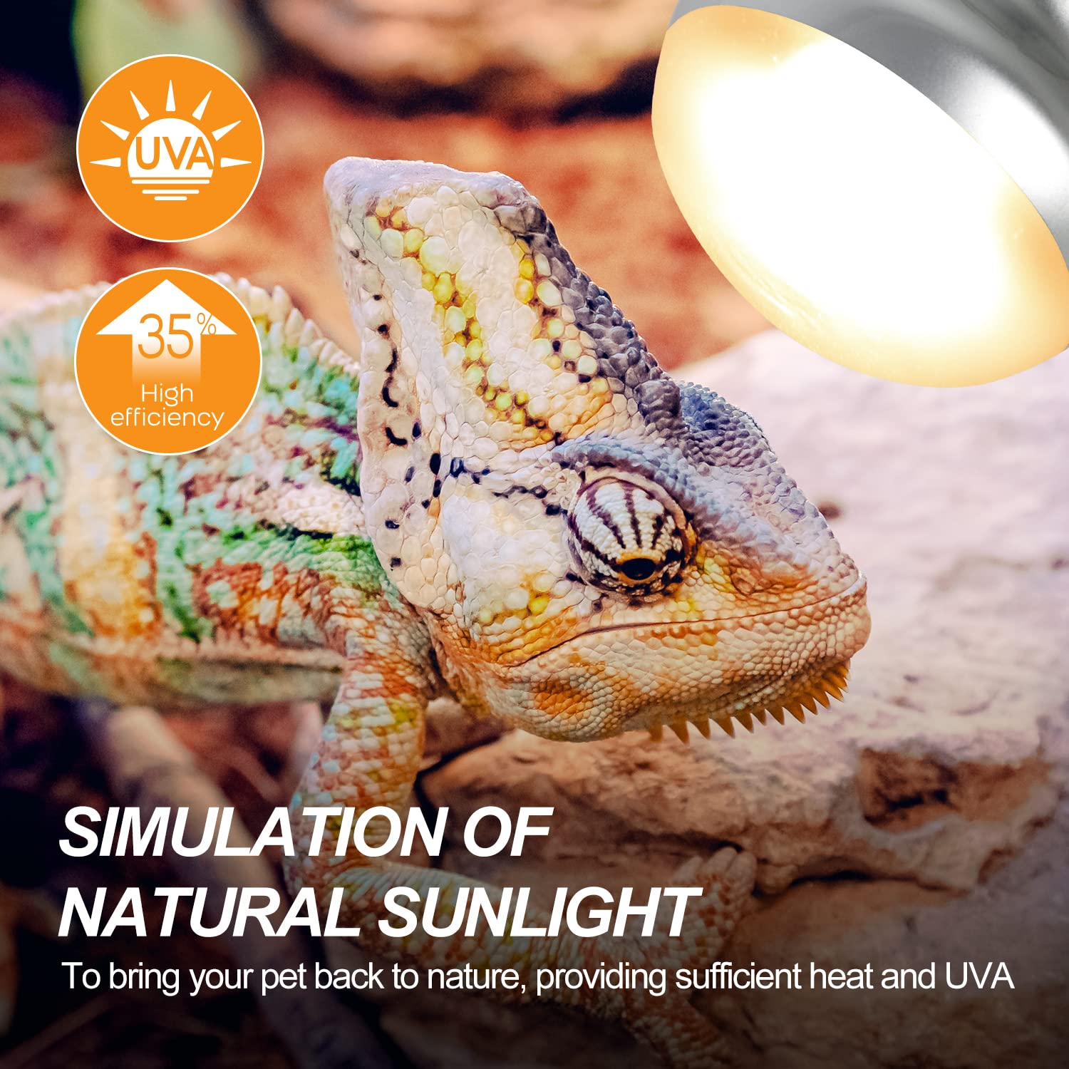 WACOOL 4Pack Reptile Heat Lamp Day & Night Kit 75W, Nature Simulated Basking Daylight & Nightlight UVA Heat Lamp Bulbs for Reptiles & Amphibians - image 4