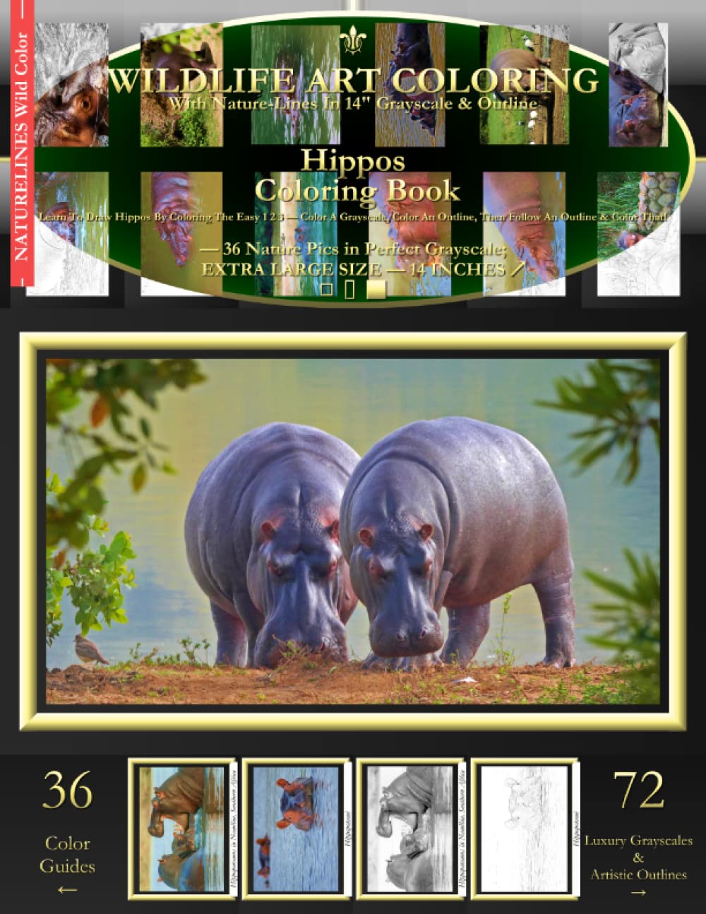 Hippos Coloring Book: Learn To Draw Hippos By Coloring The Easy 1 2 3 - Color A Grayscale, Color An Outline, Then Follow An Outline & Color That!