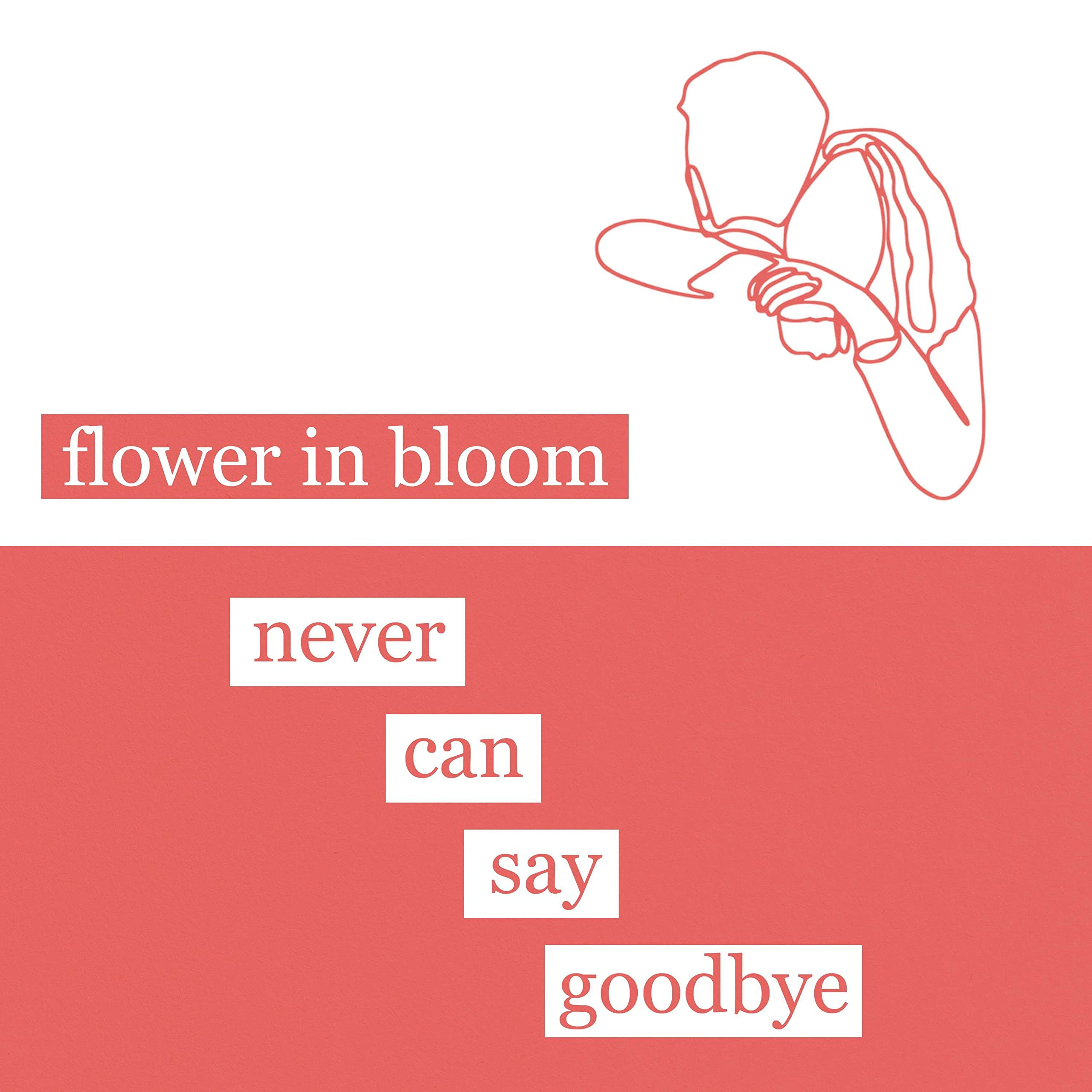 Flower in Bloom