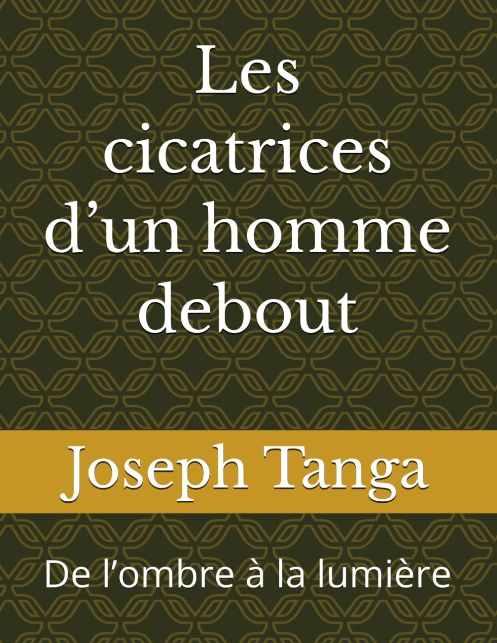 Les cicatrices d’un homme debout: De l’ombre à la lumière