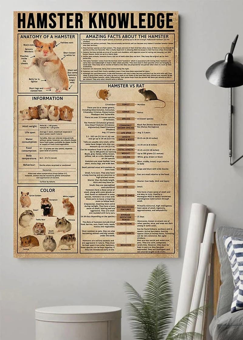 Nuboxx Hamster Knowledge metal tin sign Types Of Hamster Anatomy Of A Hamster Hamster Poster, Hamster, Hamster Wall Art, Hamster Lover Gifts metal tin signs 6x8 Inch