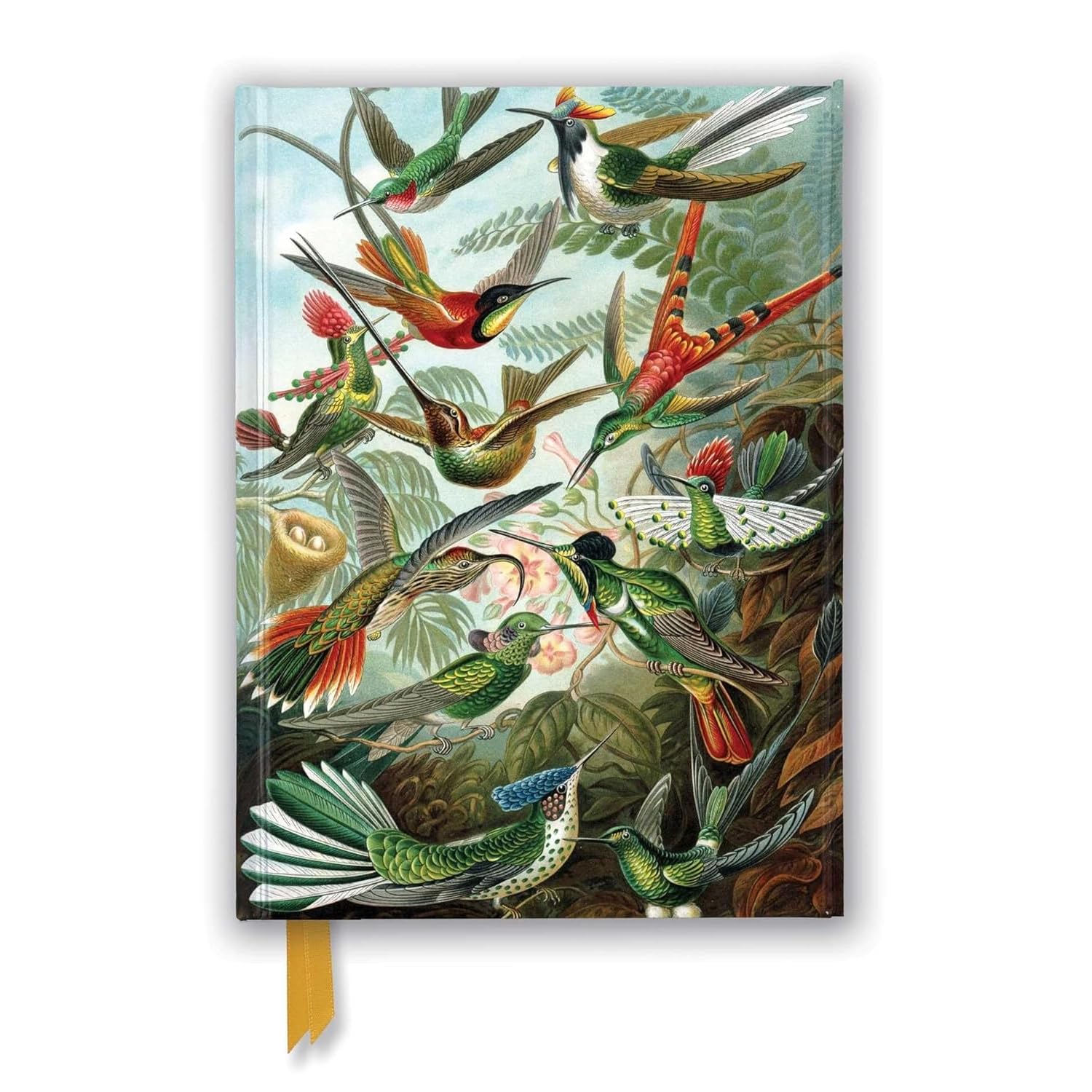 Ernst Haeckel: Hummingbirds (Foiled Journal) (Notebook / blank book)