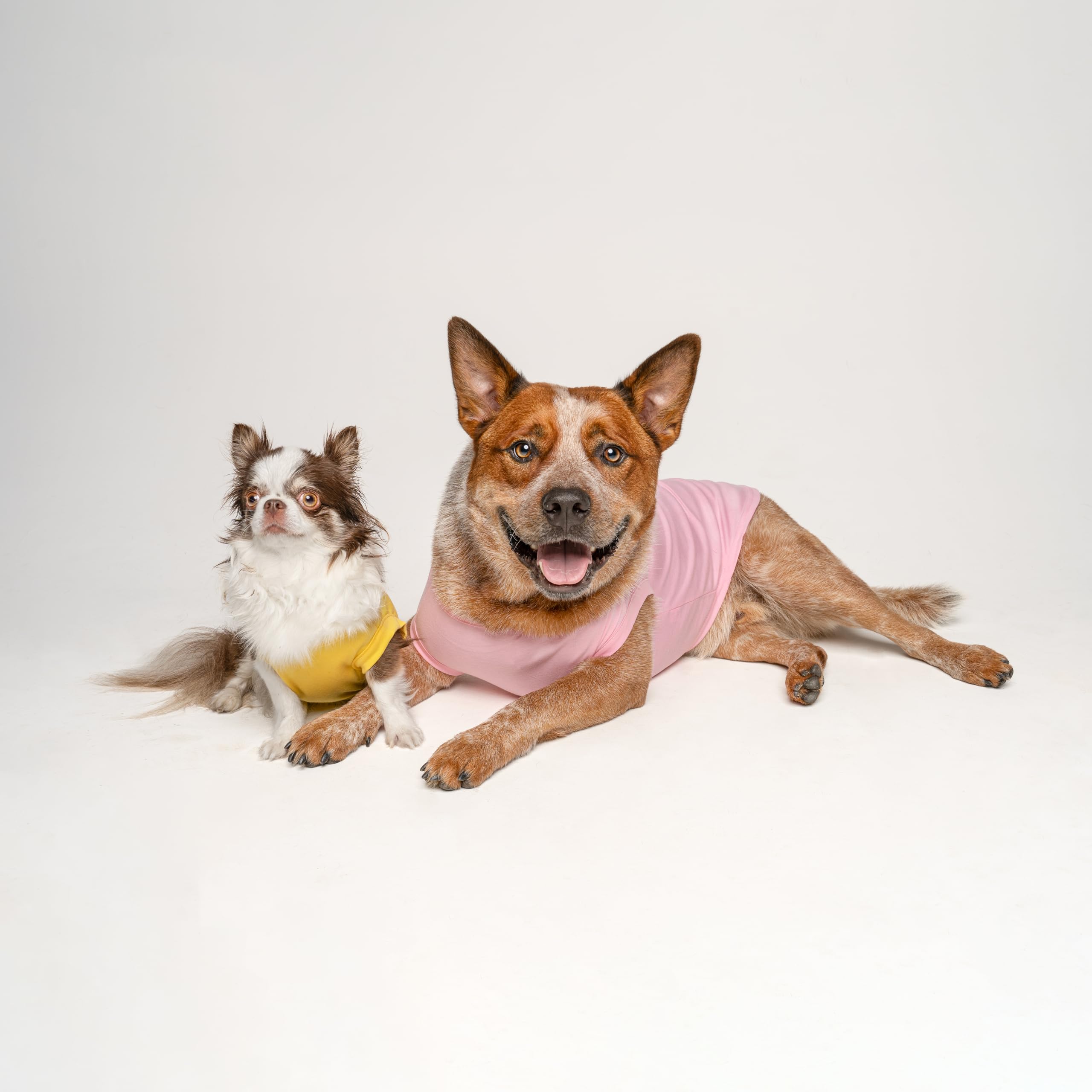 Love My Grandma Mother's Day, Valentine's Day Dog Tee Shirt Sizes for Puppies, Toys, and Large Breeds (Red, Large 399)