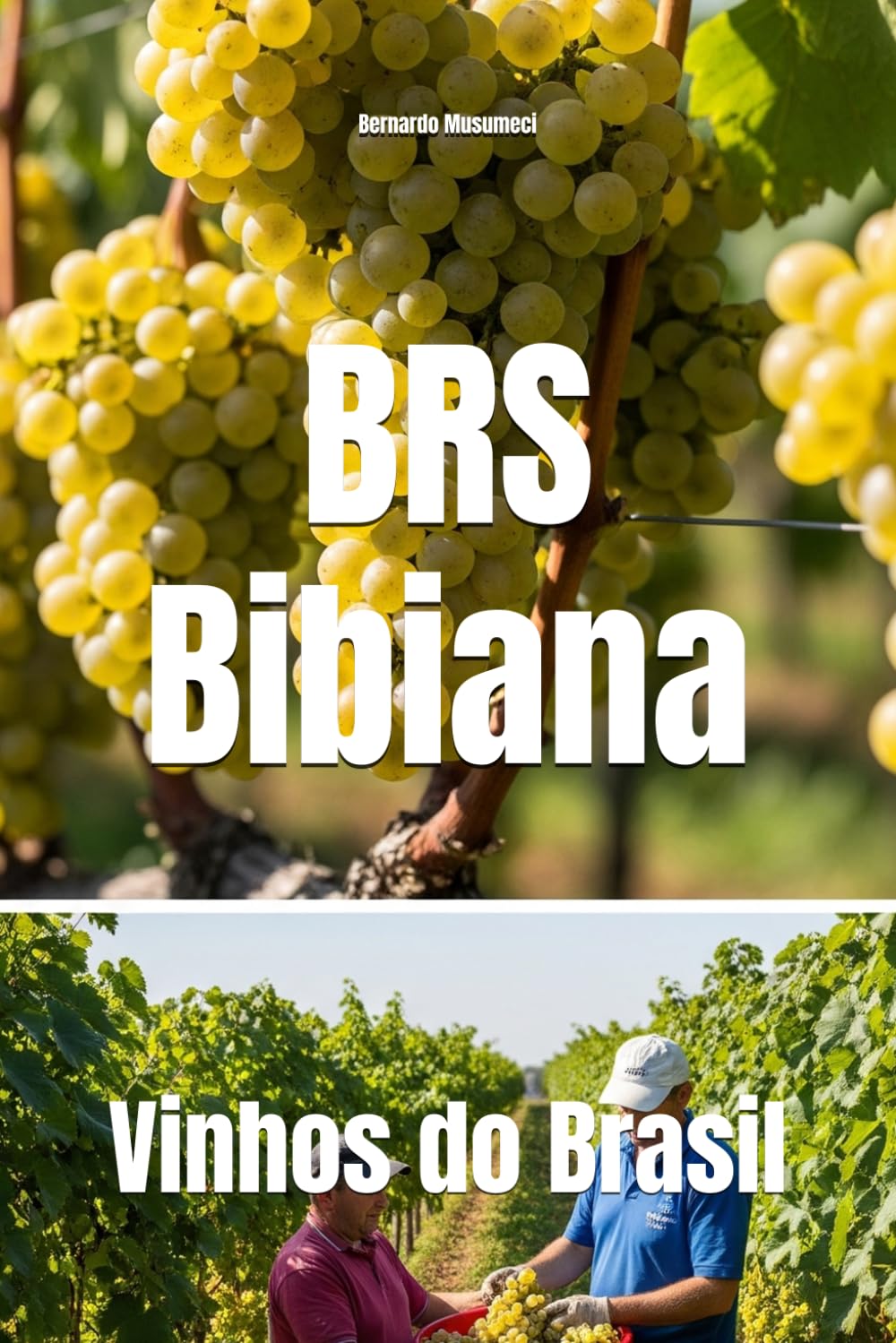 BRS Bibiana: Vinhos do Brasil (Wines of the World: Brazil)