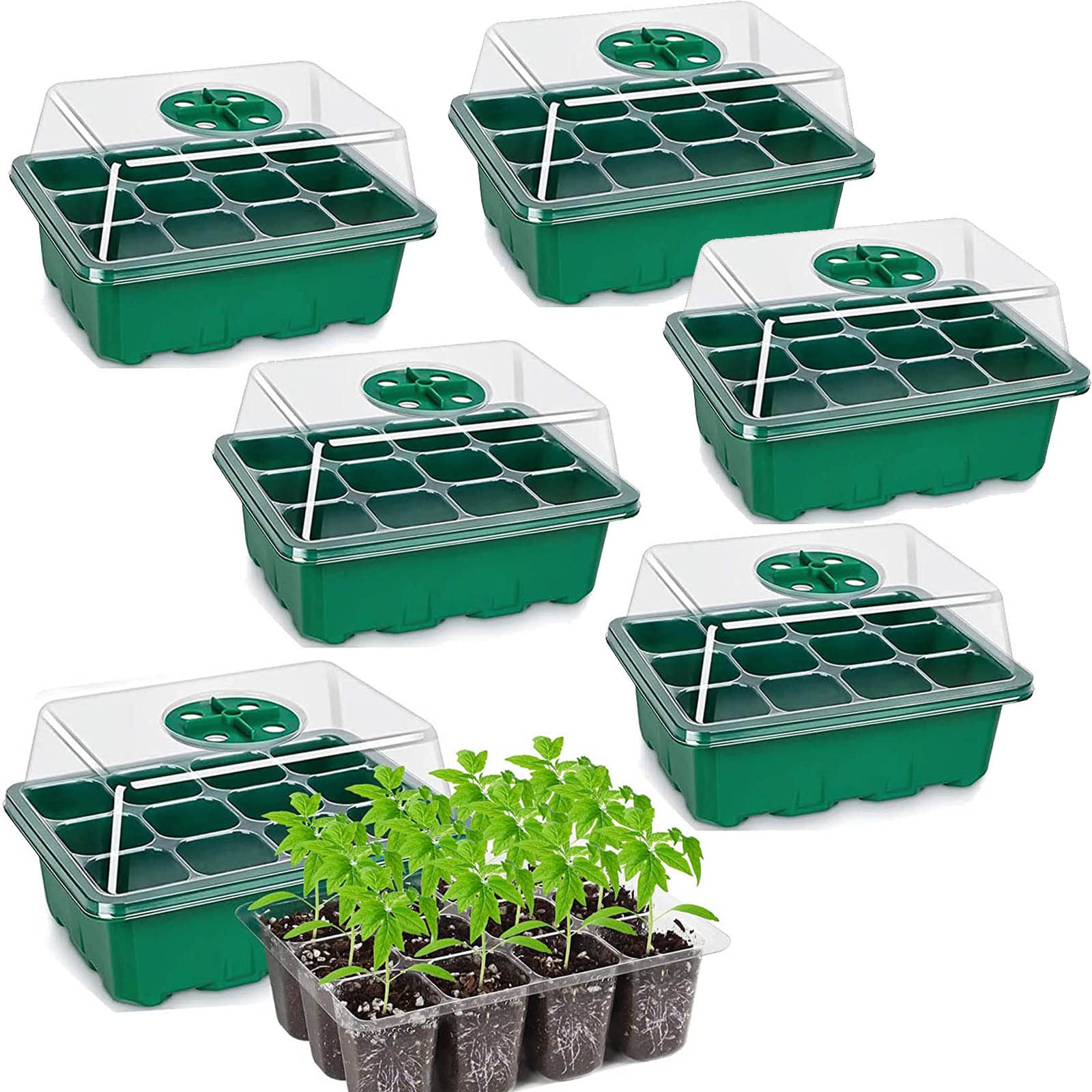 Buy QHC sehen 6 Pack NEW Seed Trays 72 Cells with Heightened Lids
