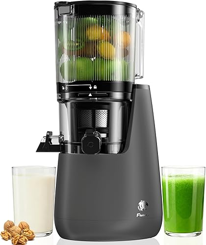 Exprimidor de prensa en frío B12, 6 pulgadas de canal de alimentación extra grande máquinas exprimidor lenta de masticación lenta, potente motor sin